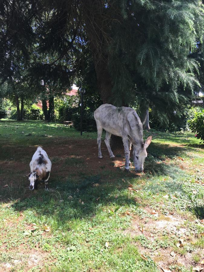 Il Trattore Moncalieri Buitenkant foto